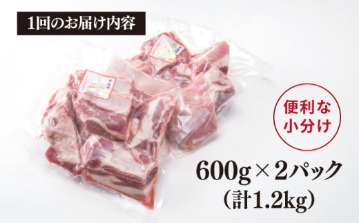 【全12回定期便】【 バーベキュー / 煮込み用 】 約1.2kg 糸島華豚 スペアリブ 糸島市 / 糸島ミートデリ工房 [ACA331]