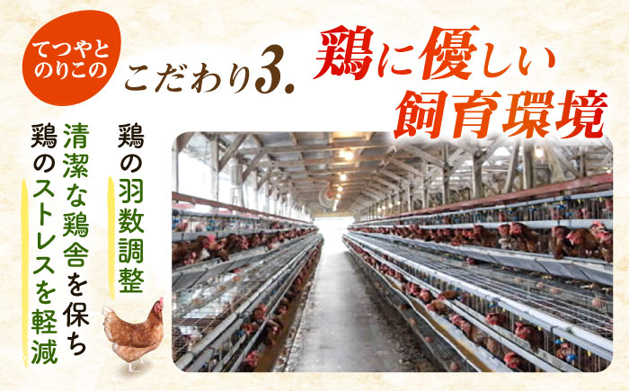 【全6回定期便】【30個×6ヶ月】黄身にコク！白身に甘み！てつやとのりこの玉子 板垣ファーム [AWD009]