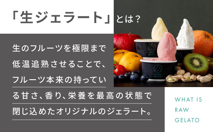 糸島 フルーツ 生ジェラート 9個セット 糸島市 / COCO GELATO [AON001] ジェラート フルーツ 果物 アイス アイスクリーム 濃厚