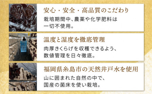 結樹農園 アグリス めんたい きくらげ 300g×5P 《糸島》【結樹農園アグリス】きくらげ/国産/明太/明太子 [AAJ003]