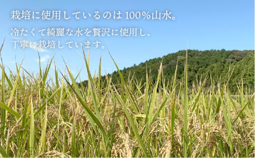 【全6回定期便】糸島産 ヒノヒカリ 10kg×6回糸島市 / 糸島王丸農園 ( 谷口汰一 )【いとしまごころ】 [AAZ016]