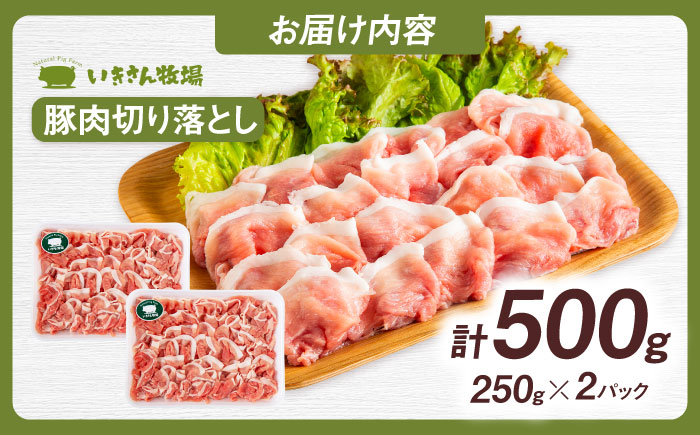 一貴山豚 切り落とし 計500g(250g×2p)  糸島市 / いきさん牧場 豚肉 [AGB056] 豚肉 豚 ブランド豚 一貴山豚 ポーク 切り落とし 肉 250g