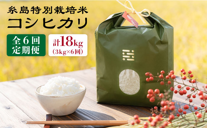 【全6回定期便】とくべつ の中の とくべつ 糸島 特別栽培米 3kg （ コシヒカリ ） 糸島市 / 株式会社やました [ARJ002]