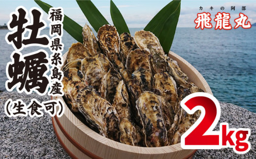 福吉の牡蠣 殻付き 生食用 2kg (簡易 ナイフ 付き) 福岡県 糸島市 / かきの阿部 飛龍丸 [AZB004]