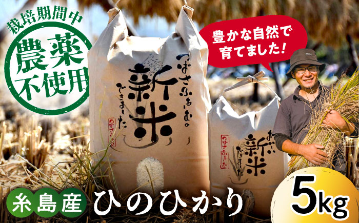 【令和6年産】糸島産 雷山 のふもと 栽培期間中 農薬 不使用 の米 5kg ひのひかり ヒノヒカリ 糸島市 / ツバサファーム [ANI001]