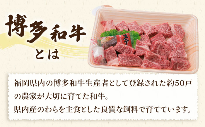 【人気セット】A4ランク 博多 和牛 ヒレ肉 サイコロ ステーキ 300g / 生 ハンバーグ 150g × 3個 《糸島》 【糸島ミートデリ工房】 [ACA052] 国産 冷凍 ランキング 上位 人気 おすすめ 黒毛 和牛 牛肉 ヒレ ステーキ サイコロ ハンバーグ 赤身 小分け  キャンプ