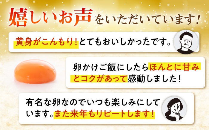 《月2回×20個 6ヶ月コース》 卵 てつやとのりこの玉子 全12回定期便 糸島市 / 板垣ファーム [AWD013]
