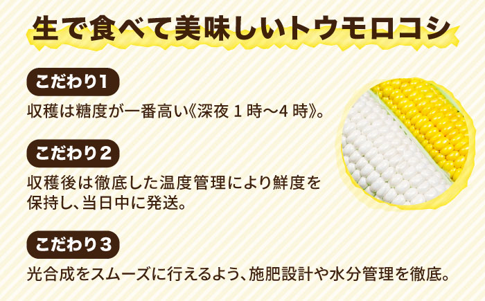 糸島産 トウモロコシ 「もきっこ」 白黄ミックス (5本前後) 糸島市 / 内田農業 とうもろこし コーン [AZH006]