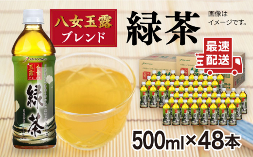 八女 玉露入り 緑茶 500ml×48本 糸島市 / スターナイン [ARM025]