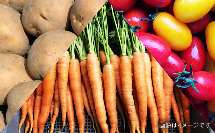 【全6回定期便】【☆畑直送☆栽培期間中農薬不使用！】お 米 2kg & 野菜 5品 の セット 糸島市 / オーガニックナガミツファーム 	[AGE037]