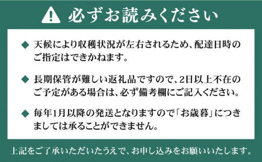 【その日一番のあまおうを即日出荷！】 本格 あまおう (300g×2パック) いちご 苺 糸島市 / みのりのりん [ABD002]