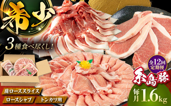 【全12回定期便】糸島 豚 バラエティ セット ( しゃぶしゃぶ / 肩ロース / とんかつ )糸島市 / トラヤミートセンター [AJD012] 国産 豚肉 とんかつ 肩ロース 詰め合わせ しゃぶしゃぶ