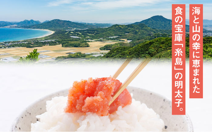 糸島辛子明太子 昆布入り「夫婦岩」 270g 糸島市 / やますえ [AKA092]