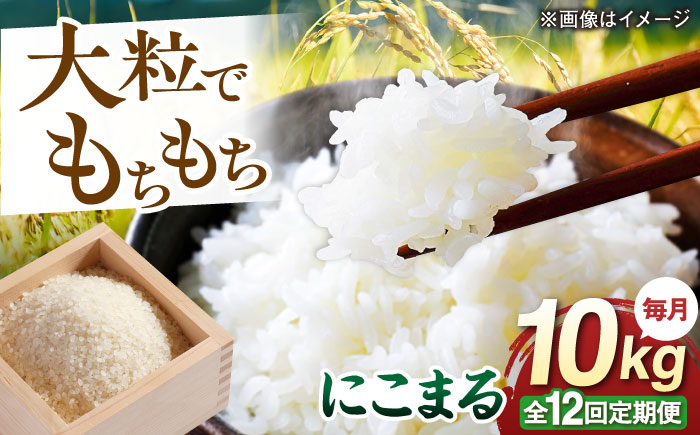 【全12回定期便】 にこまる 玄米品質1等米 白米 10kg 糸島市産 糸島市 / 糸島の恵み コメ こめ ご飯 [AGR013]