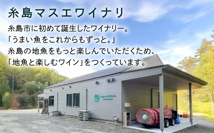【糸島マスエワイナリ】STILL 甲州 1本 糸島市 / いとしのいとしま / ワイン お酒 [AEP004] 白ワイン 国産 ワイン 辛口 白 ぶどう 甲州 魚介 糸島 ワイナリー