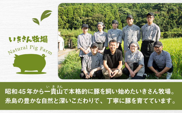 一貴山豚 切り落とし 計500g(250g×2p)  糸島市 / いきさん牧場 豚肉 [AGB056] 豚肉 豚 ブランド豚 一貴山豚 ポーク 切り落とし 肉 250g