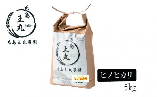 糸島産 ヒノヒカリ 5kg糸島市 / 糸島王丸農園　( 谷口汰一 )【いとしまごころ】 [AAZ010]