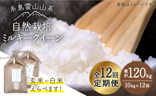 【全12回定期便】糸島産 ミルキークイーン 10kg 自然栽培 糸島市 / 大石ファーム [ATE031]