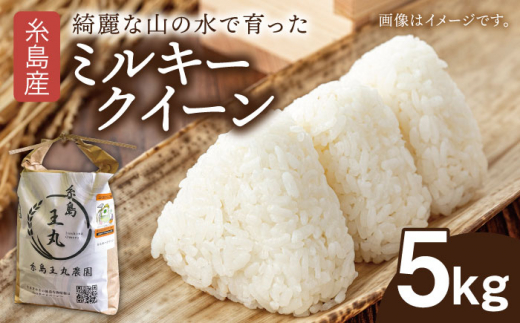 糸島産 ミルキークイーン 5kg糸島市／糸島王丸農園（ 谷口汰一 ）【いとしまごころ】 米 玄米 [AAZ019]