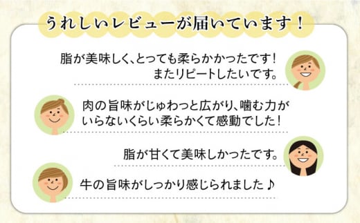 【全6回定期便】【訳あり】A4ランク 博多和牛 ミックス サイコロステーキ ( ヒレ ロース モモ ) 糸島ミートデリ工房 [ACA243]