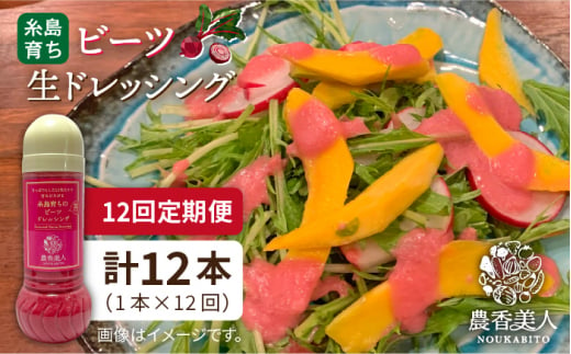 【全12回定期便】糸島 そだち の ビーツ ドレッシング （ 285ml × 1本 ）《糸島》【農香美人】 [AAG047]