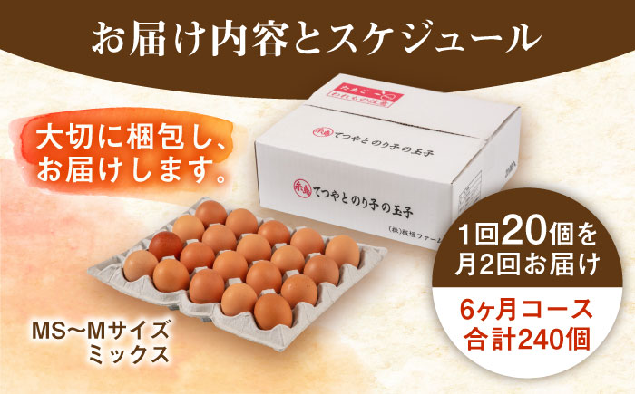《月2回×20個 6ヶ月コース》 卵 てつやとのりこの玉子 全12回定期便 糸島市 / 板垣ファーム [AWD013]