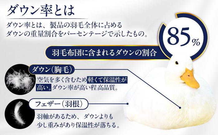 【訳あり】【 糸島 羽毛 ふとん 】羽毛 布団 柄おまかせ ダウン85％【ダブル】糸島市 / 株式会社三樹  [AYM005] 本掛け 羽毛布団 羽毛 布団 ふとん 掛け布団 掛けふとん ダブル 訳あり おまかせ 日本製