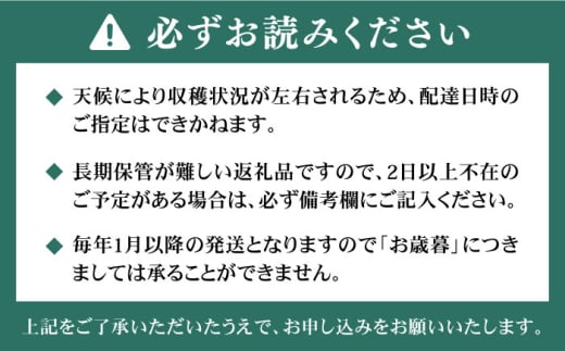 【農家直送！】 農家おまかせ訳あり 270g×2パック 糸島市 / みのりのりん [ABD004]