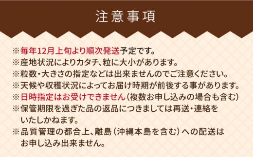 【先行予約】ヨーグルト梅酒720ml×あまおうギフト箱入り （12-15粒） 【2024年12月上旬以降順次発送】 糸島市 / 南国フルーツ株式会社 [AIK016]