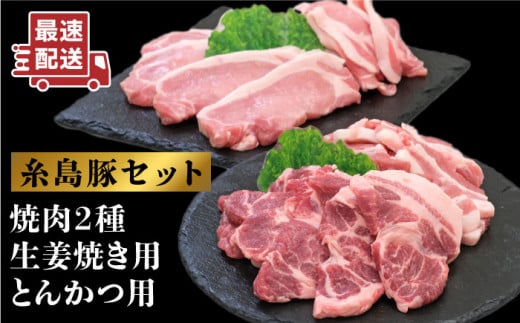 JA糸島  糸島豚 焼肉 トンカツ 生姜焼き セット  糸島市 / JA糸島産直市場 伊都菜彩 [AED003]