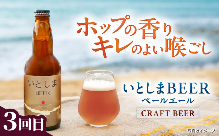 【全3回定期便】糸島のお酒定期便 ワイン / 日本酒 / クラフトビール 糸島市 [AAH013]