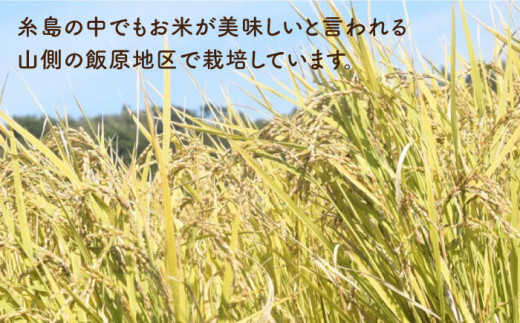 【新米受付中】＼令和6年産／糸島産 餅米 10kg 自然栽培 天日干し 【2024年11月下旬以降順次発送】 糸島市 / 大石ファーム [ATE006]