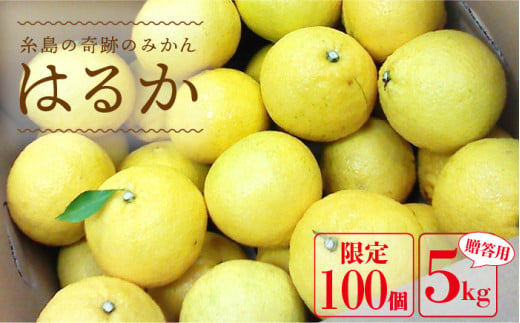 【先行予約】 爽やかに 甘い ！ 糸島産 「 はるか 」  贈答用 約 5kg 【2025年3月より順次発送】二丈赤米産直センター [ABB001]