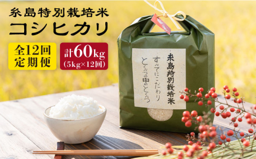 【全12回定期便】とくべつの中のとくべつ 糸島 特別栽培米 5kg （ コシヒカリ ） 糸島市 / itoshimacco / 株式会社やました [ARJ026]