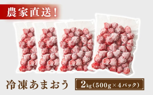 【農家直送！】 冷凍あまおう 2kg（500g×4パック）いちご 苺 糸島市 / みのりのりん [ABD007]