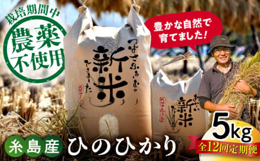 【全12回定期便】 糸島産 雷山のふもとの米 農薬不使用 5kg 糸島市 / ツバサファーム [ANI005] 白米 玄米