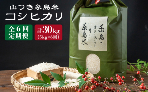 【全6回定期便】糸島で農薬を使わずに育てた山つき 糸島 米 5kg（コシヒカリ） 糸島市 / 株式会社やました [ARJ016]