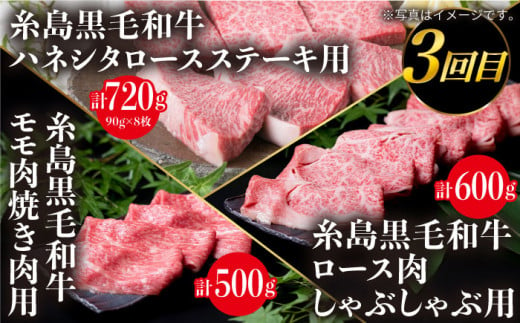 【 定期便 】 A4 ランク 福岡県産 糸島 黒毛和牛 を 毎月 1回 合計４回 で お届け 《糸島》 【糸島ミートデリ工房】 [ACA073]