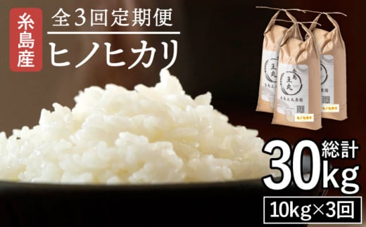 【全3回定期便】糸島産 ヒノヒカリ 10kg×3回糸島市 / 糸島王丸農園 ( 谷口汰一 )【いとしまごころ】 [AAZ015]