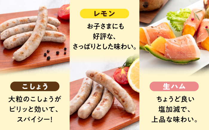 【本場ドイツで連続金賞受賞】生 ウインナー 5種 30本 + 生ハム 詰め合わせ セット 糸島 / 糸島手造りハム [AAC004] 贈答 ギフト  ランキング 上位 人気 おすすめ ウインナー ハム 贈答 ギフト 贈り物 のし対応 BBQ 焼肉  お歳暮