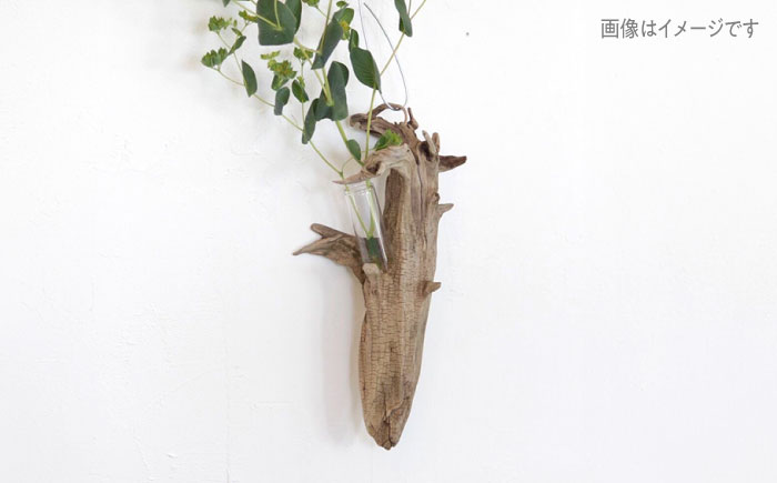 Driftwood FlowerBase 流木一輪挿し フラワーベース 糸島市 / WOOD\'ARBRE(ウッドラヴル)【TIME】 インテリア 雑貨 [ADC003] インテリア 雑貨 一輪挿し 流木 お洒落 木 おしゃれ オシャレ シンプル 壁掛
