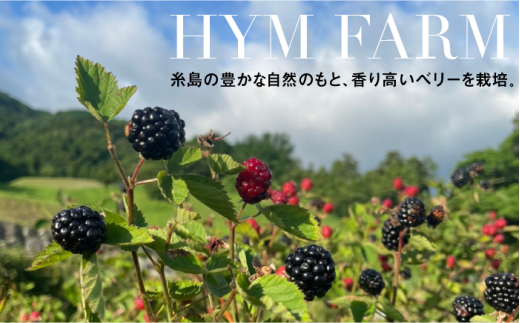 糸島産 ブルーベリー ＆ ブラックベリー ワイン 720ml×2種 セット 糸島市 / HYM FARM [AHM001]