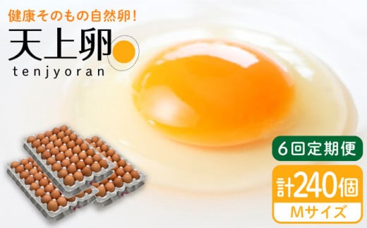 【 全6回 定期便 】 こだわり の 卵 「 天上卵 」 40個 セット 《糸島》【株式会社おおはまファーム】[AKH007]