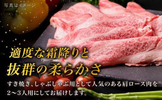 【全6回定期便】高級霜降り 肩ロース スライス 500g A4ランク 糸島 黒毛和牛 糸島市 / 糸島ミートデリ工房 [ACA306]