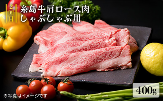 美味しさ 満載 ！ 贅沢お 肉 セット の 定期便 全5回 （月1回） 4人 家族用 【福岡 糸島産 牛肉 豚肉 鶏肉 ステーキ しゃぶしゃぶ すき焼き ヒレ シャトーブリアン ロース】 《糸島》 【糸島ミートデリ工房】 [ACA083]