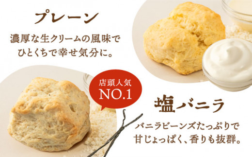 【 贈答用 】 定番 スコーン + 季節 の 味 12個 セット 《糸島》【キナフク】焼き菓子 焼菓子 洋菓子 スイーツ パン [AFA007]