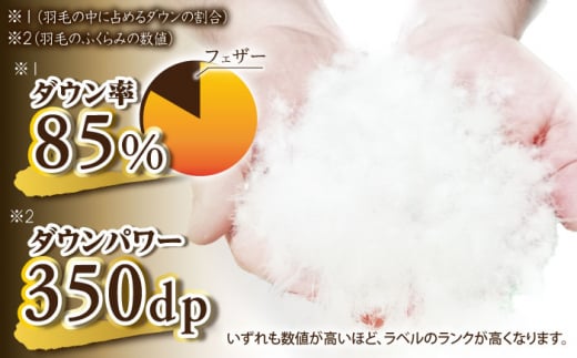 ＼この冬届く！／【訳あり】【 糸島 羽毛 ふとん 】羽毛 布団 柄おまかせ ダウン85％【 シングル 】 糸島市 / 株式会社三樹 [AYM004]