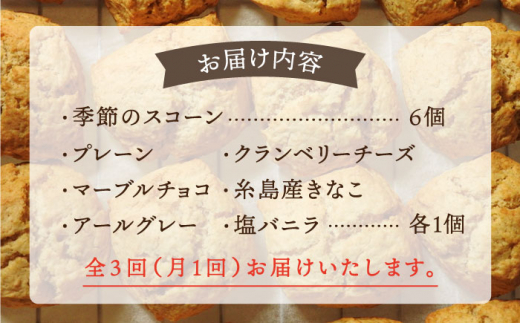 【全3回定期便】定番 ＆ 季節 の スコーン 12個セット   糸島市 / スコーン専門店キナフク 焼き菓子 焼菓子 洋菓子 スイーツ パン [AFA015]