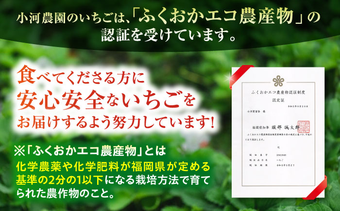 【2025年2月中旬以降順次発送】 農家直送！ 糸島産 完熟あまおう 280g×4パック (S-Gサイズ) 糸島市 / 小河農園 フルーツ いちご 苺 [AJN004]