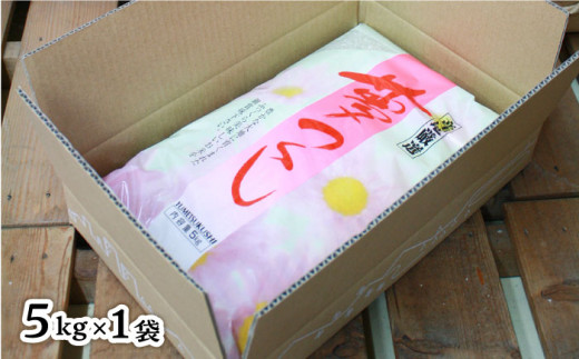 【令和6年産新米】糸島産 夢つくし 5kg 糸島市 / 三島商店 [AIM001]